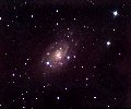 NGC2403 in Camelopardalis