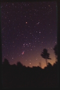 Orion